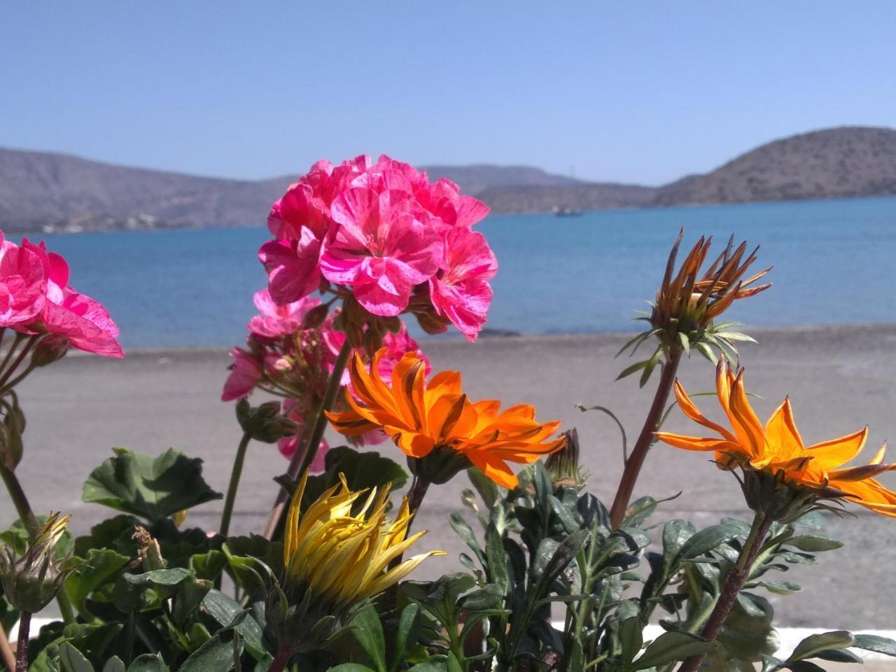 Ferienwohnung Hiona Seaside Elounda Exterior foto